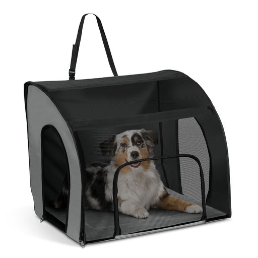 Australian Shepherd in soft travel carrier