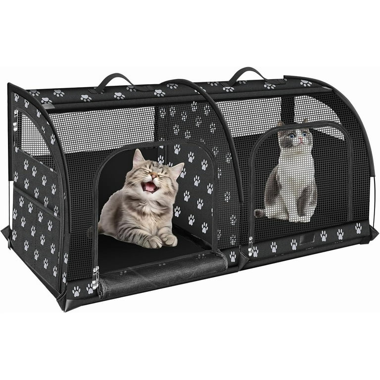 Double pet carrier with two cats