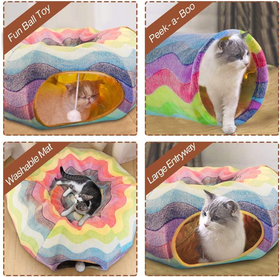 Cats playing with colorful tunnel toys in apartment