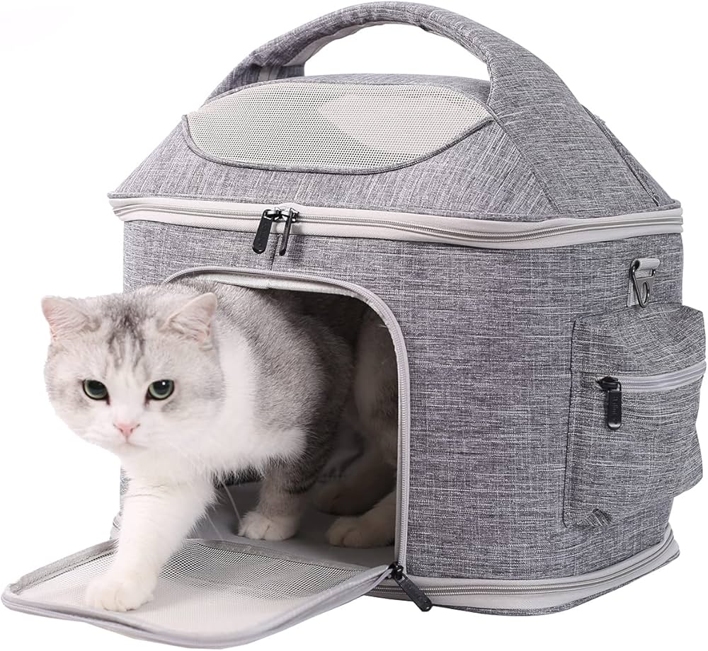 Grey pet travel carrier with cat
