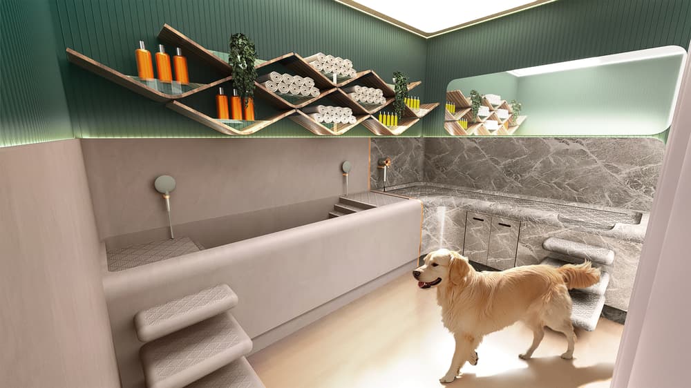 Modern pet grooming spa with dog bath