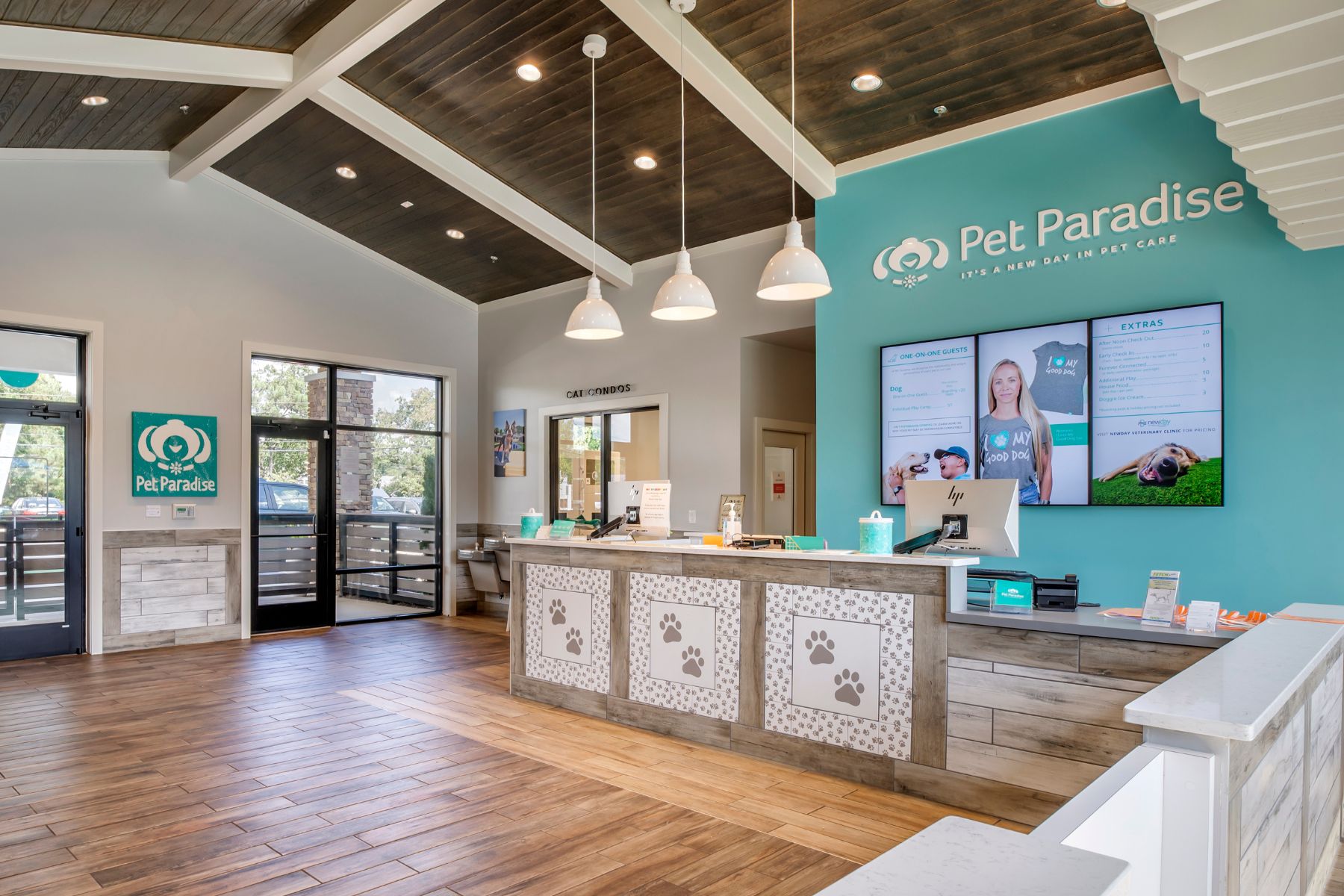 Modern pet care facility with cat condos and reception area